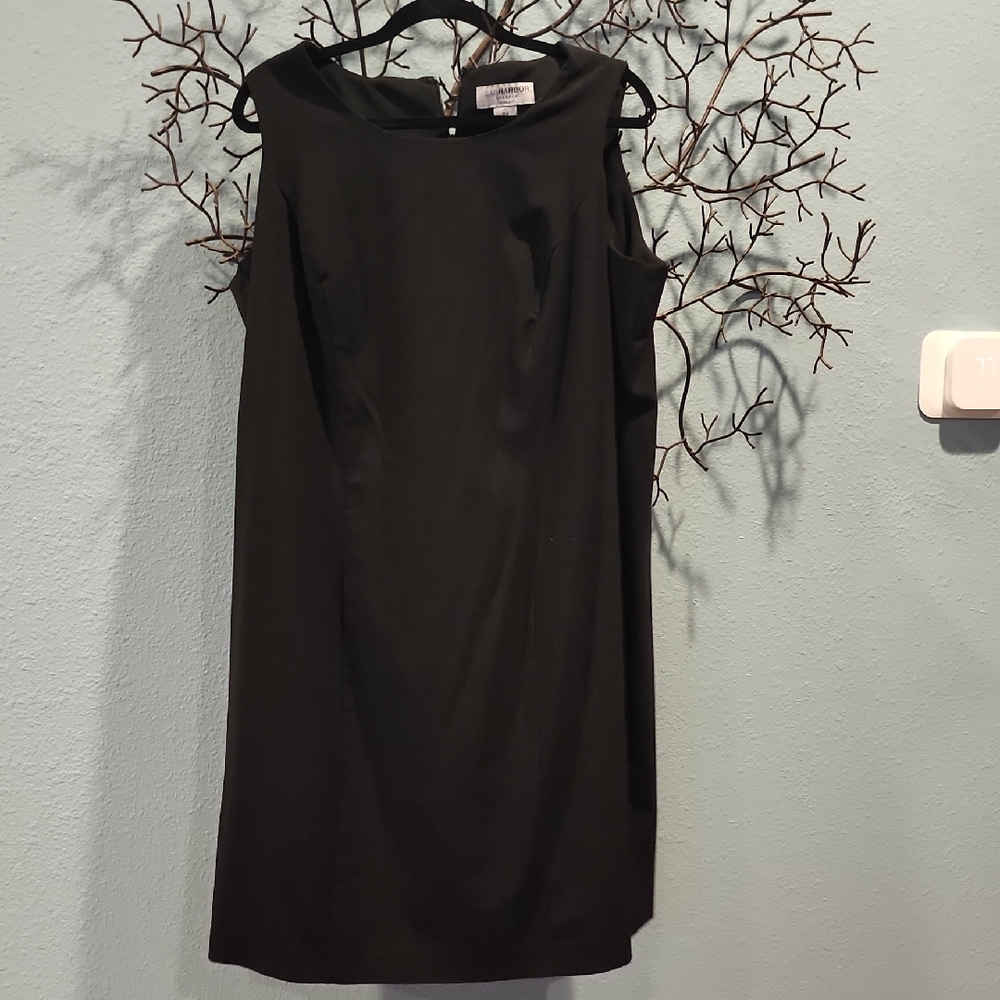 Sag Harbor Black Sleeveless Sheah Mini Dress
